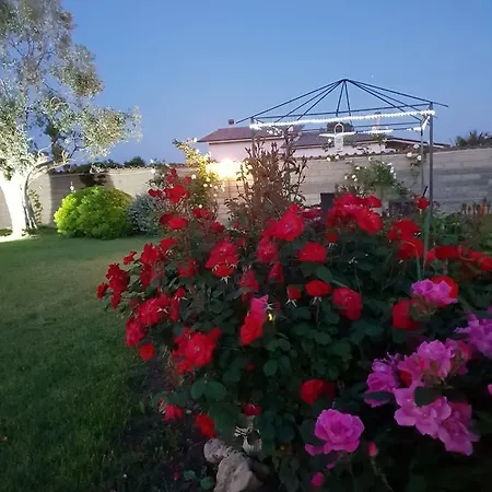 Villa Elegance *