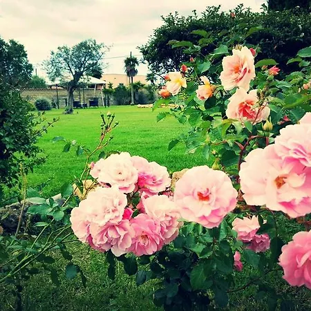 Villa Elegance Ladispoli