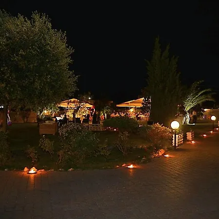 Elegance * Ladispoli