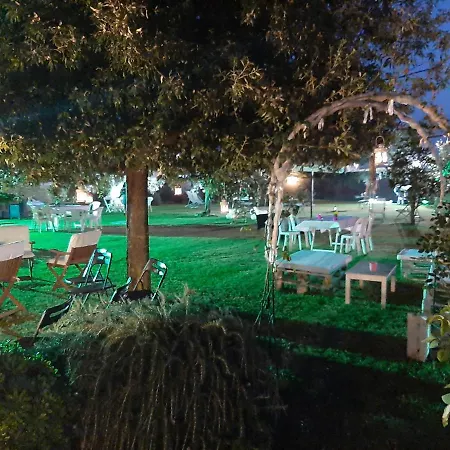 Elegance * Ladispoli