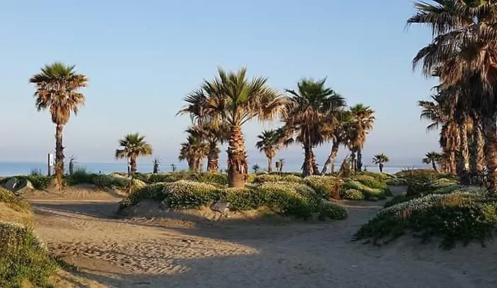 艾勒耿斯别墅 别墅