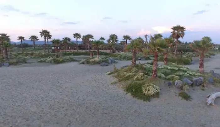 别墅 艾勒耿斯别墅