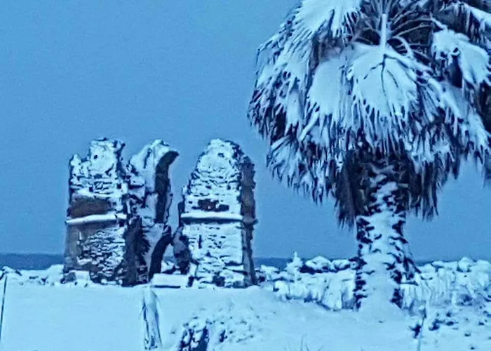 艾勒耿斯别墅 别墅 *