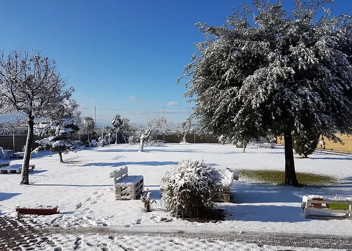 艾勒耿斯别墅 别墅 *