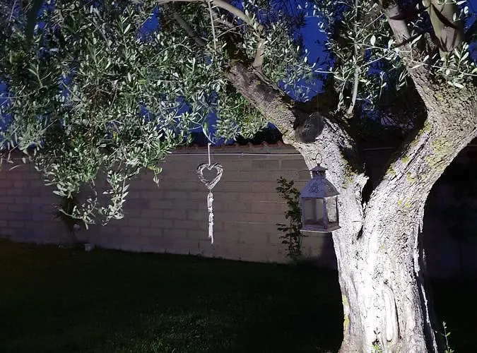 艾勒耿斯别墅 别墅 *