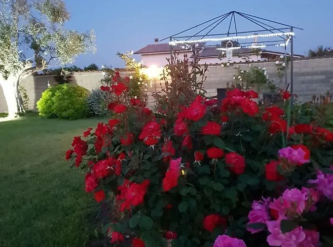 别墅 艾勒耿斯别墅 *